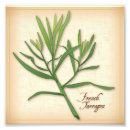 Search for cooking herbs posters Organic
