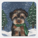 Search for dog poo stickers Yorkies