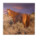 Search for alertness tiles Superstock