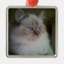 Search for ragdoll cat christmas tree decorations Himalayan