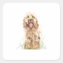 Search for cockapoo stickers Dog