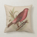 Search for english country cushions Cottage