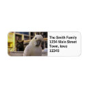 Search for cockatoo return address labels Funny