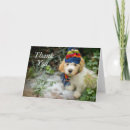 Search for dog note photography Animal