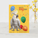 Search for cockatoo birthday cards Parrot