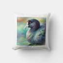 Search for coot Bird