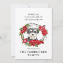 Search for miniature schnauzer dog cards Watercolor