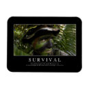 Search for survive magnets Survival