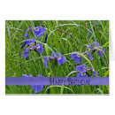 Search for wild iris Purple
