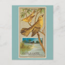Search for warbler postcards Birds of america