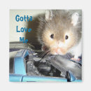 Search for hamsters magnets Pet