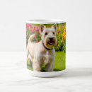 Search for scottish terrier mugs Wheaten