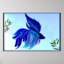 Search for siamese posters Betta