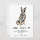Search for cow fathers day cards Blue heeler