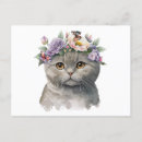 Search for cat and butterfly postcards Flowers