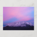 Search for winter blue postcards Pink