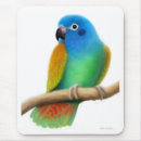 Search for aviary electronics Avian