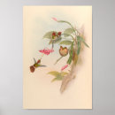 Search for antique bird nest posters Flowers