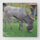 Search for lawn care posters Funny