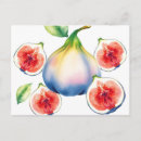 Search for fig postcards Fruit