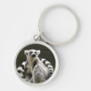 Search for ring tailed lemur key rings Nature
