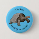 Search for tortoise round badges Shell