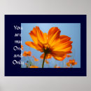 Search for orange daisy art Daisies