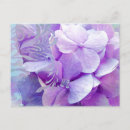 Search for hydrangea garden postcards Purple
