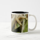 Search for tree frog mugs Nature