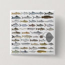 Search for fish square badges Carp