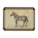 Search for zebra magnets Africa