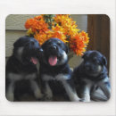 Search for shepherd mouse mats Flowers