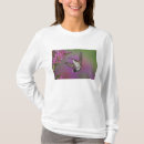 Search for ruby throated tshirts Motion