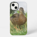 Search for water birds iphone cases Mallard