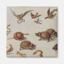 Search for snake magnets Bird