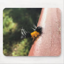 Search for fuzzy mouse mats Nature