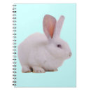 Search for kawaii notebooks Rabbit