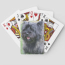 Search for funny photography games Dog