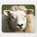 Search for sheep mouse mats Ewe