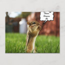 Search for forgive postcards Funny