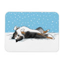 Search for merle magnets Shetland sheepdog