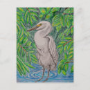 Search for egrets postcards Landscape