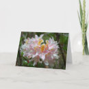 Search for rhododendron Blossoms