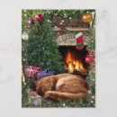 Search for sleeping cat postcards Fireplace