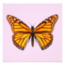 Search for monarchs art Insect