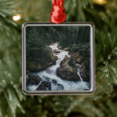 Search for switzerland christmas tree decorations Graubunden canton