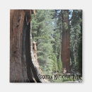 Search for sherman magnets California