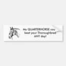 Search for thoroughbred bumper stickers Horse
