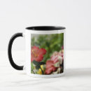 Search for depth of field mugs Nobody