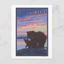 Search for black bear postcards States